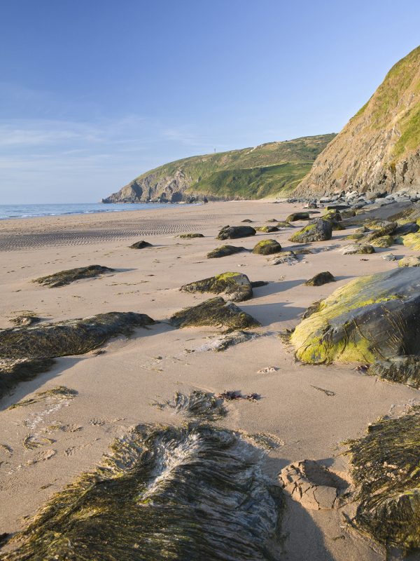 Ceredigion / Cardigan Bay - Rarebits Collection